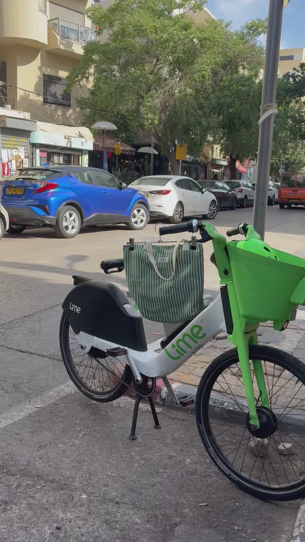 תיק פסים ירוקים